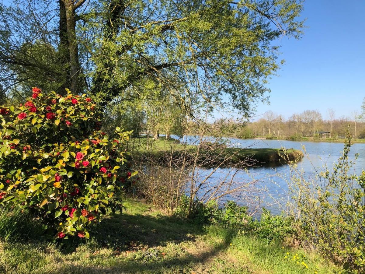 La Francoisiere Bed & Breakfast Loigne-sur-Mayenne Luaran gambar